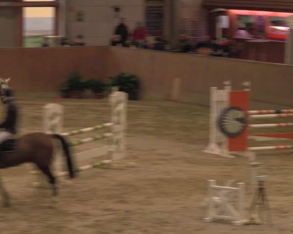 Reitturnier Prussendorf 2020