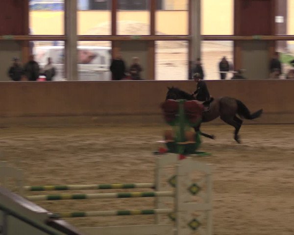Reitturnier Prussendorf 2020