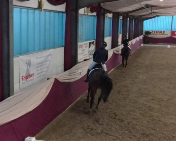 Reitturnier Eppelheim 2020