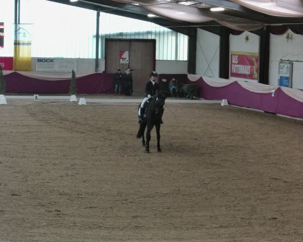 Reitturnier Eppelheim 2020