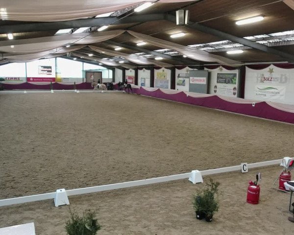 Reitturnier Eppelheim 2020