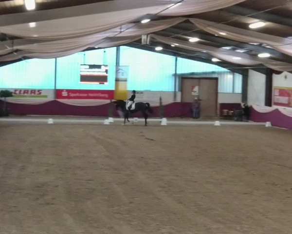 Reitturnier Eppelheim 2020