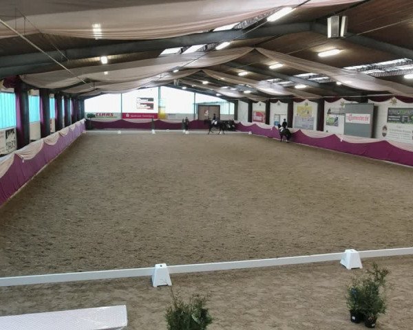 Reitturnier Eppelheim 2020