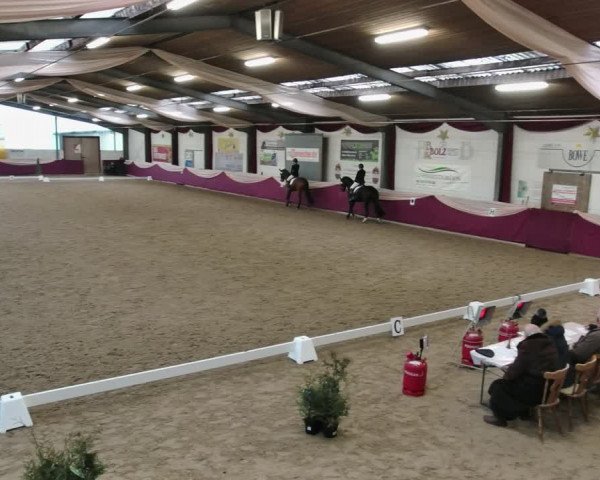 Reitturnier Eppelheim 2020