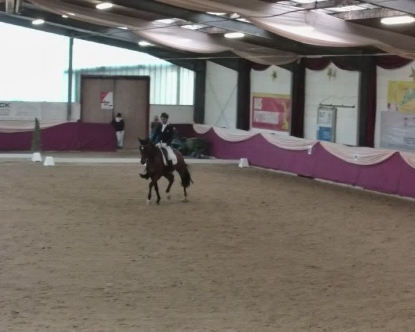 Reitturnier Eppelheim 2020