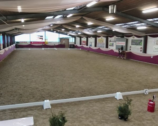 Reitturnier Eppelheim 2020