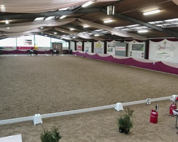 Reitturnier Eppelheim 2020