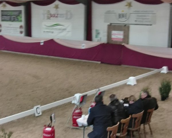 Reitturnier Eppelheim 2020