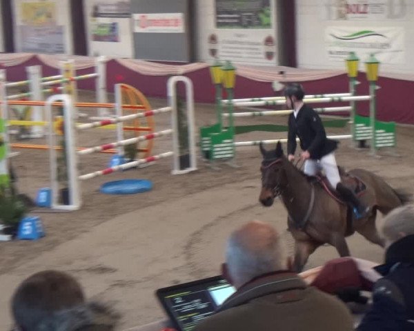 Reitturnier Eppelheim 2020