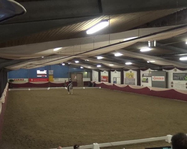 Reitturnier Eppelheim 2020