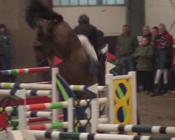 Reitturnier Eppelheim 2020
