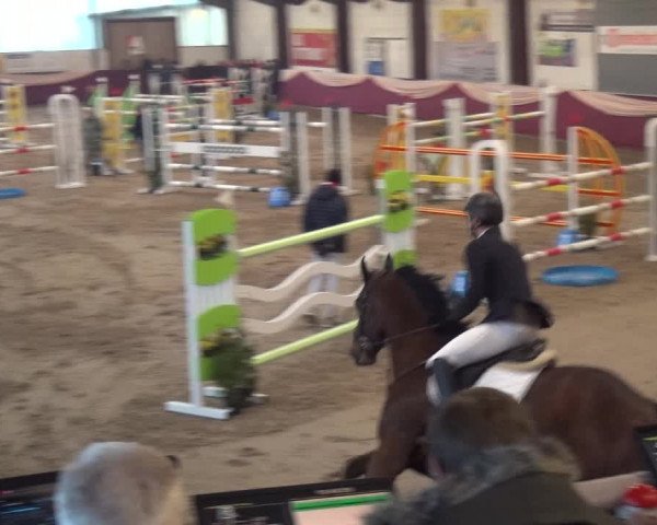 Reitturnier Eppelheim 2020