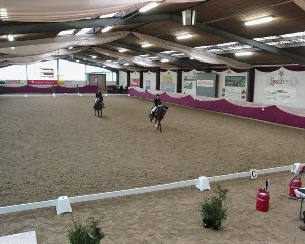 Reitturnier Eppelheim 2020