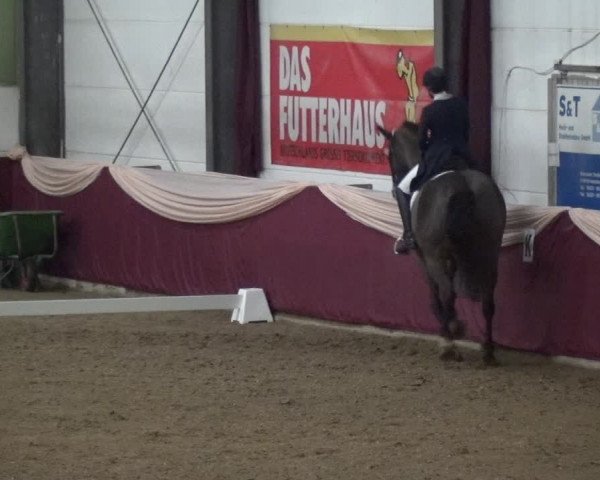 Reitturnier Eppelheim 2020