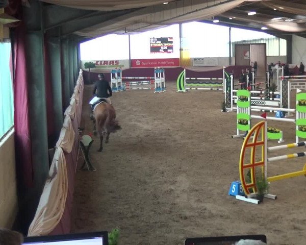 Reitturnier Eppelheim 2020