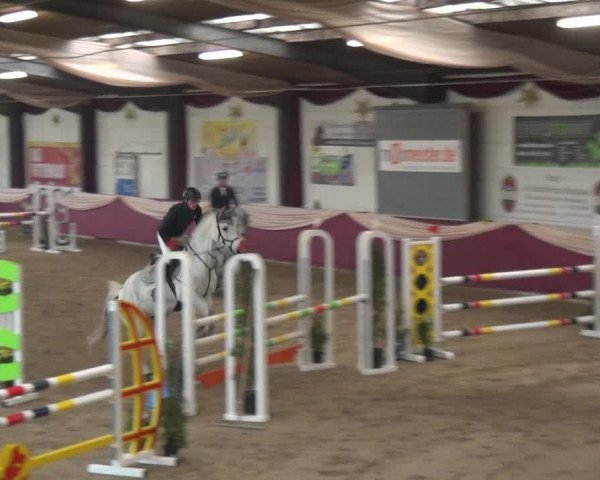 Reitturnier Eppelheim 2020
