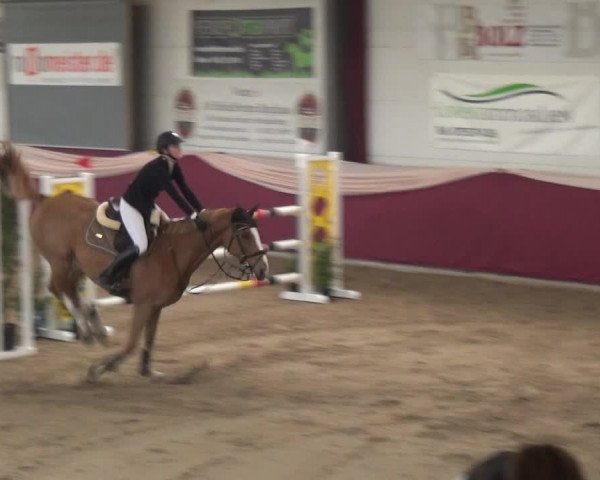 Reitturnier Eppelheim 2020