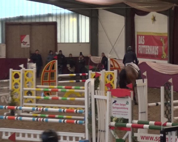 Reitturnier Eppelheim 2020