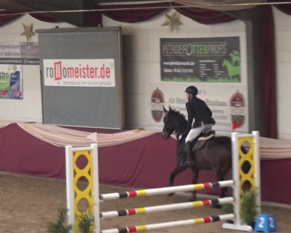 Reitturnier Eppelheim 2020