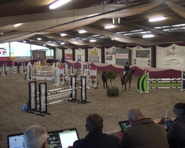 Reitturnier Eppelheim 2020