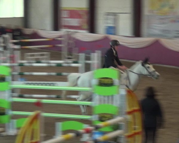 Reitturnier Eppelheim 2020