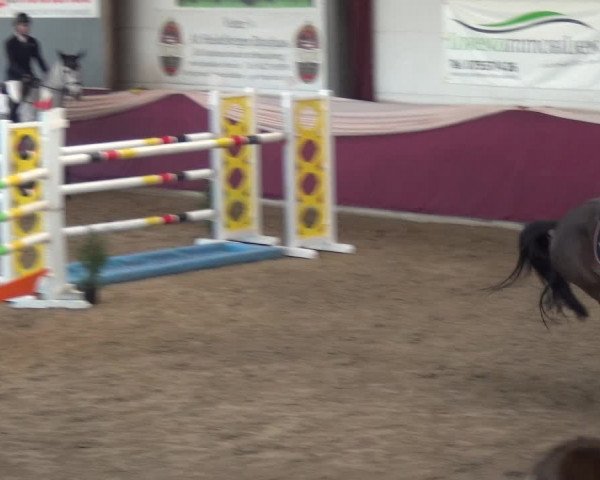 Reitturnier Eppelheim 2020