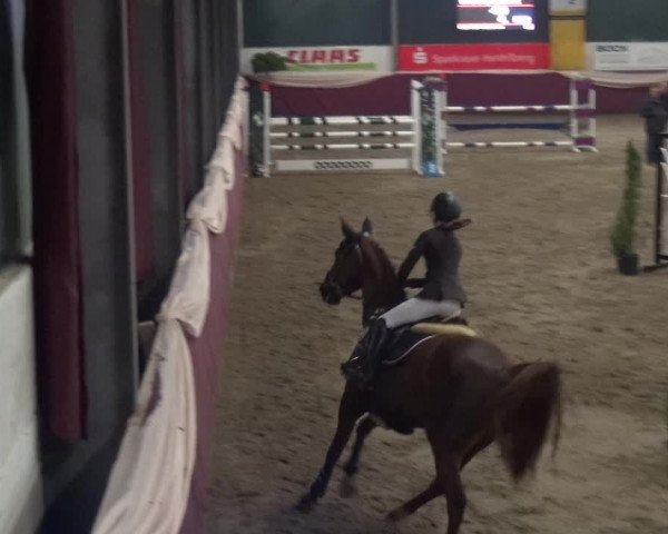 Reitturnier Eppelheim 2020