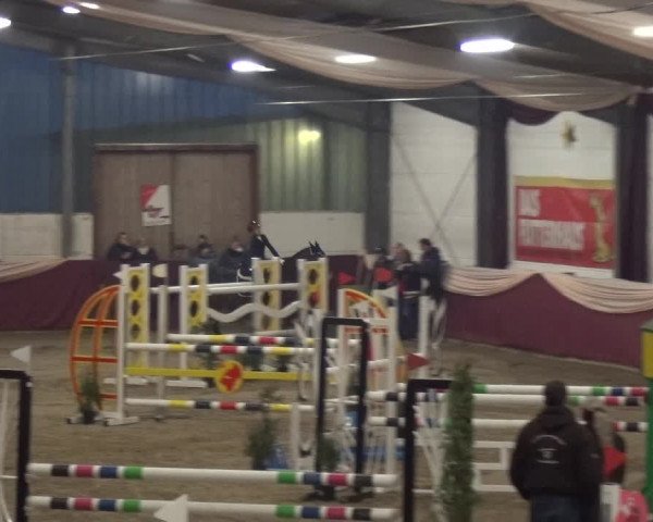 Reitturnier Eppelheim 2020