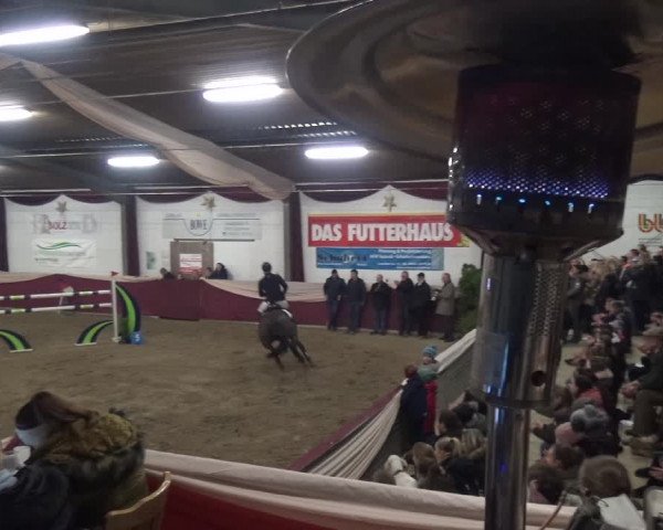 Reitturnier Eppelheim 2020