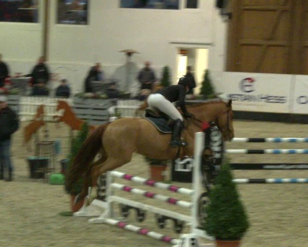 Nordic Jumping events 2020