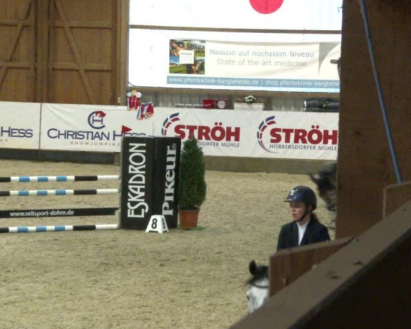 Nordic Jumping events 2020