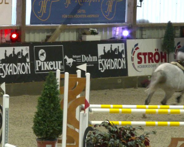Nordic Jumping events 2020