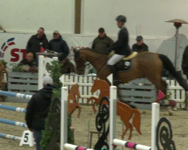 Nordic Jumping events 2020