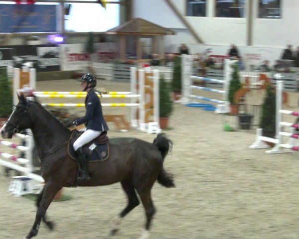Nordic Jumping events 2020