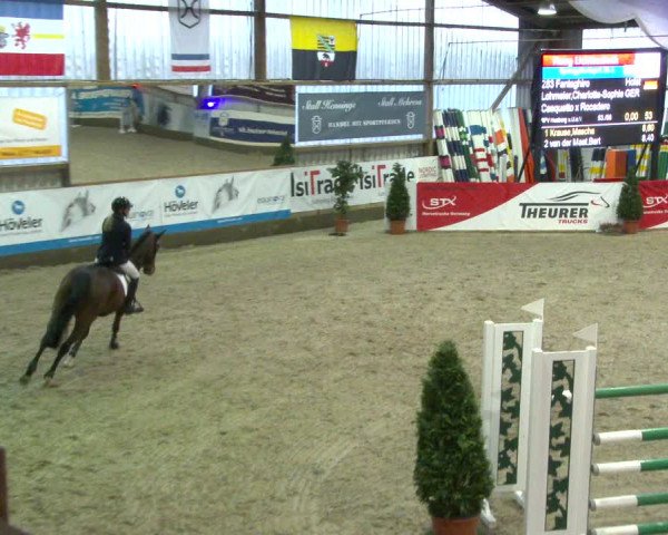 Nordic Jumping events 2020