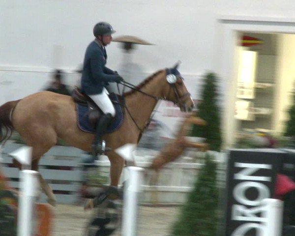 Nordic Jumping events 2020