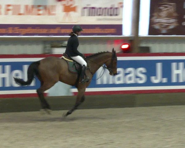 Nordic Jumping events 2020