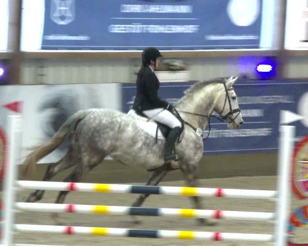 Nordic Jumping events 2020
