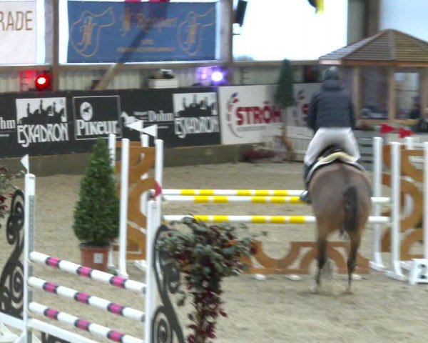 Nordic Jumping events 2020