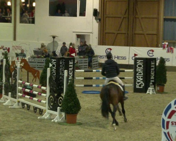 Nordic Jumping events 2020