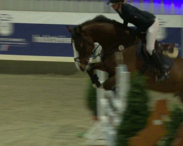 Nordic Jumping events 2020
