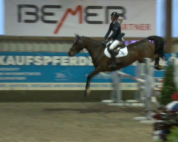 Nordic Jumping events 2020