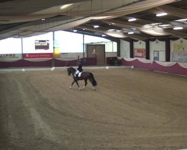 Reitturnier Eppelheim 2020