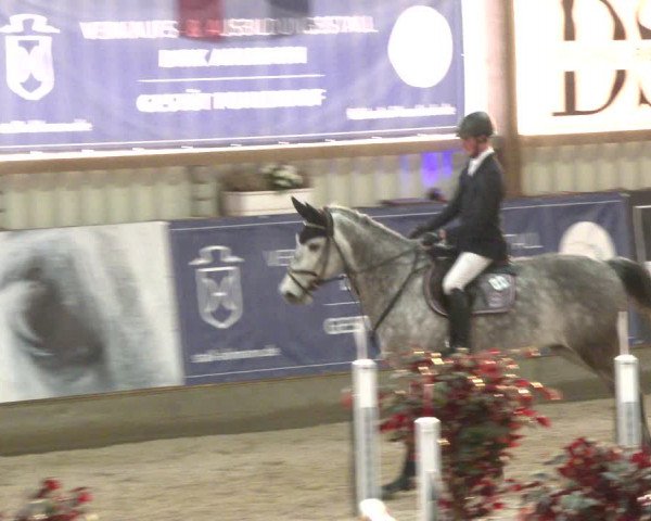 Nordic Jumping events 2020