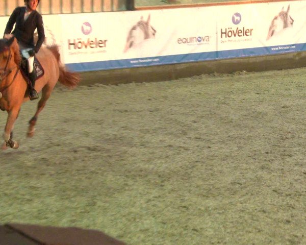 Nordic Jumping events 2020