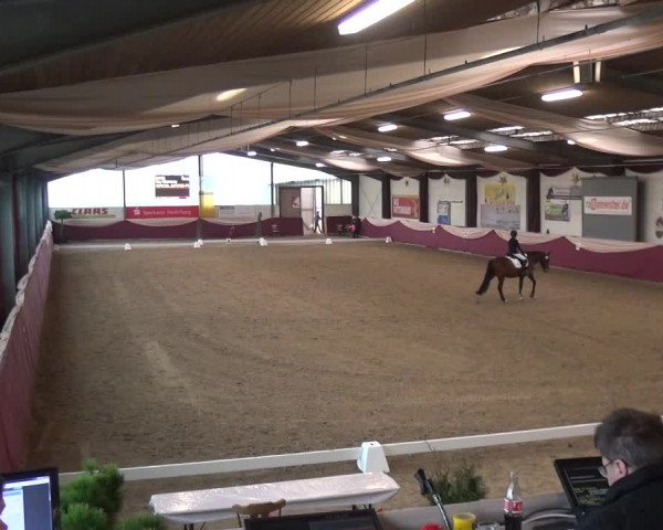 Reitturnier Eppelheim 2020