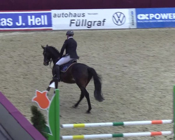 Reitturnier Neustadt/Dosse - Lindenau-Halle 2020