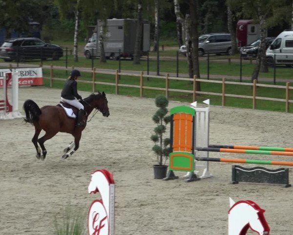 Reitturnier Westergellersen 2021