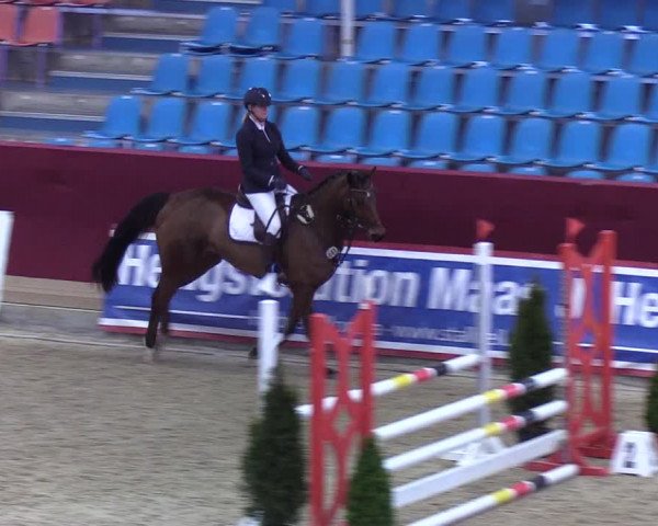Reitturnier Neustadt/Dosse - Lindenau-Halle 2020
