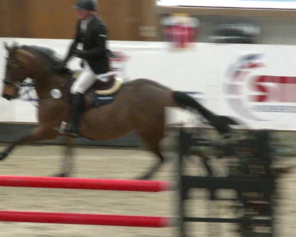 Nordic Jumping events 2020